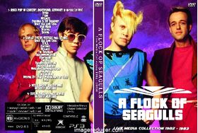 A FLOCK OF SEAGULLS  Live Media Collection 1982 - 1983 (2 DVDs)